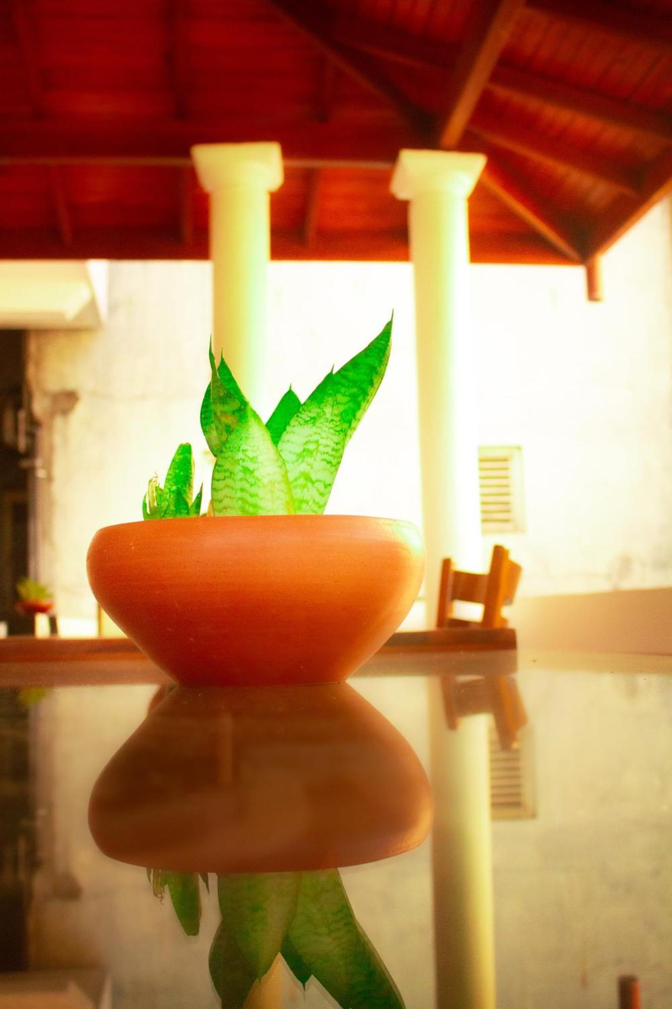 Golden Town Hostel Tangalle Eksteriør bilde